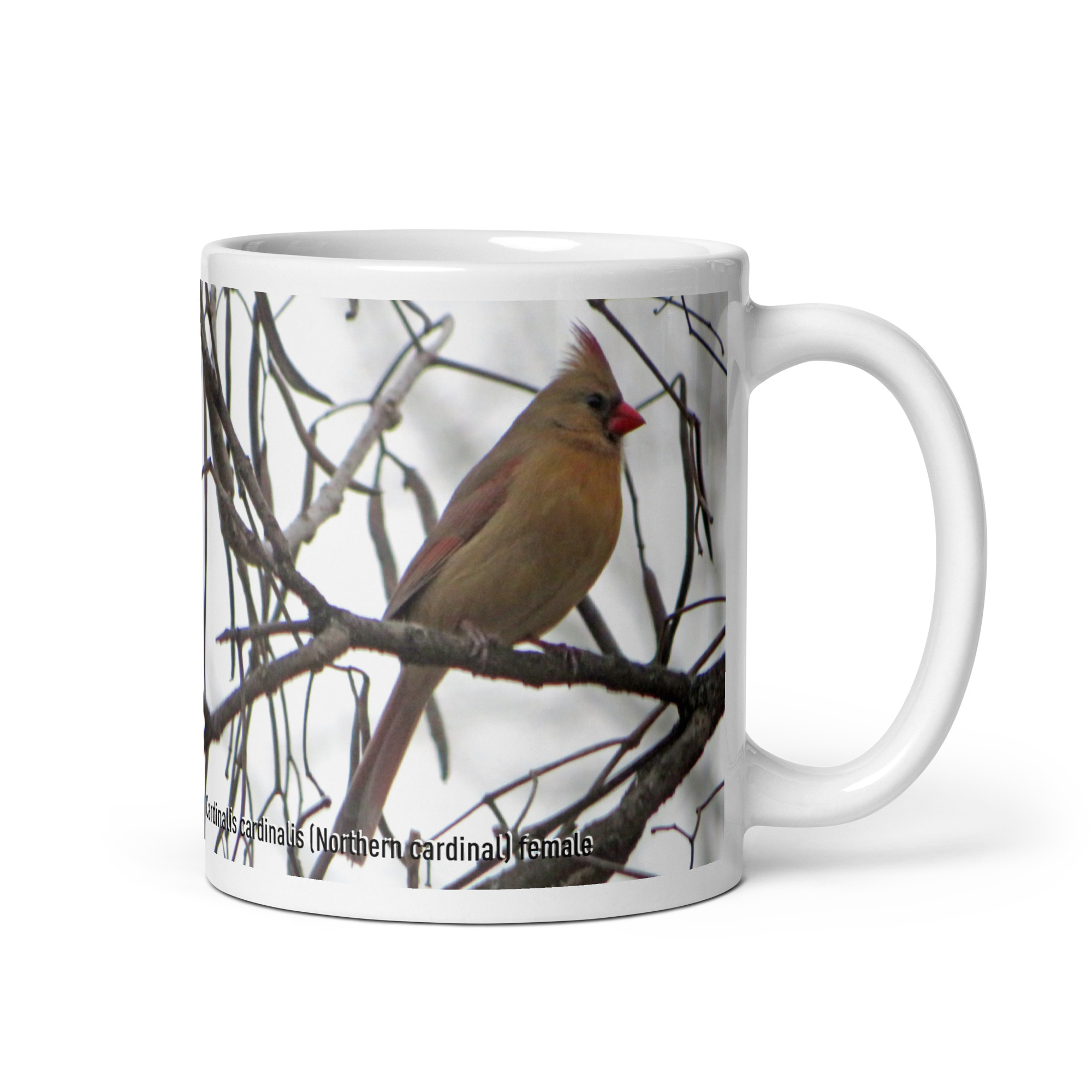 White glossy mug - handle on right