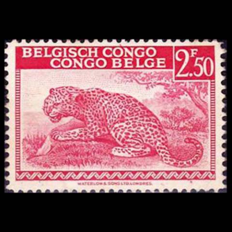 Belgian Congo postage - Panthera pardus (Leopard)