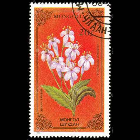 Mongolia postage  - Valeriana officinalis (Valerian)